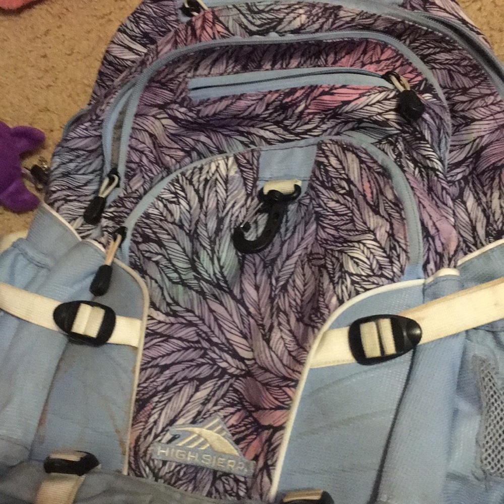 High Sierra purple feather backpack